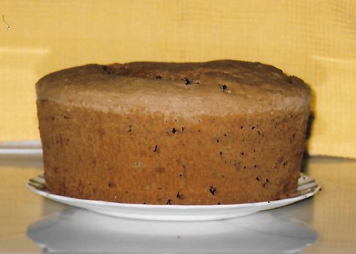 Susan Juster Viner’s Mocha Chip Sponge Cake